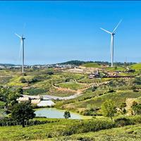 Bán đất 1797m2 tại Cầu Đất  săn mây - TP ĐàLạt