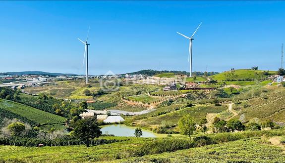 Bán đất 1797m2 tại Cầu Đất  săn mây - TP ĐàLạt - Ảnh 1