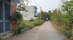 Bán gấp lô đất full thổ cư DT 1.100m2, gần trường Bùi Văn Ngữ - Bà Điểm, Hóc Môn - Ảnh 3