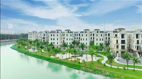 Bán liền kề góc 125m2 đơn giá chỉ 115triệu/m2 rẻ nhất dự án Vinhomes Ocean Park 2 giá 14,6 tỷ - Ảnh 4