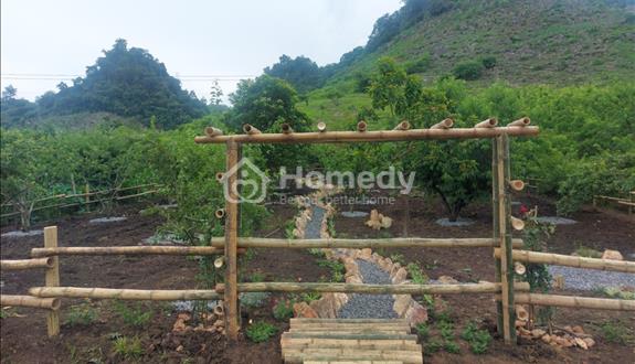 Bán Đất 800m² Tại Tà Số – View Hồ, Sẵn 80 Gốc Mận, Tiềm Năng Kinh Doanh Homestay - Ảnh 1