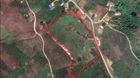 Bán đất vàng Tà Số 21.271m² – Vị trí đắc địa, thiên đường nghỉ dưỡng tại Mộc Châu - Ảnh 2