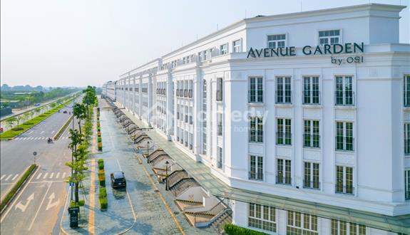 cần bán shophouse Avenue Garden diện tích 189m2, mặt tiền 10,5m, đã có sổ  - Ảnh 1