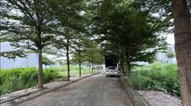 Bán đất hẻm 68, Bưng Ông Thoàn, P. Phú Hữu, Q9. Khu Đại Việt DT 54m2, lô B, giá 3,9 tỷ, - Ảnh 3