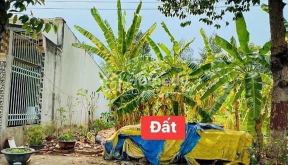 Cắt lỗ giải quyết công việc đối diện Vincom Long Thành, DT 230m2 giá 1ty680tr Lê Duẩn - Ảnh 1