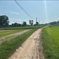 🎯10x37(378,8m2) Hẻm Đinh Bộ Lĩnh, Phước Lộc, LaGi 