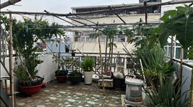 Chủ đi định cư bán gấp nhà 1/ đường Nguyễn Trãi Q1. Chỉ 20.9 tỷ. LH 0908779028 - Ảnh 6
