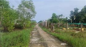 🔵10x35(351m2) Phước Linh Tân Phước LaGi Giá Rẻ  - Ảnh 3