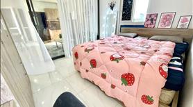 Đập Hộp Studio 1PN Vách Ngăn Sang-Xịn-Mịn Đoàn Như Hài - Ảnh 8