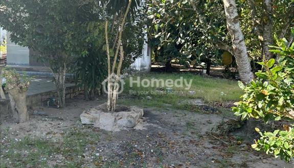 bán đất thổ cư 537 trung tâm Tân An, thị xã LaGi, Bình Thuận. giá NGợp 850 triệu - Ảnh 1