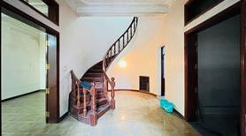 ✅ Nhà kiểu Biệt Thự Trần Quang Diệu, mặt tiền siêu rộng 11m, hàng xóm Quận Uỷ Đống Đa - Ảnh 2