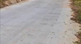 Bán trang trại 1,1ha sẵn nhà, chuồng trại, ao cá, đồi chè - Ảnh 3