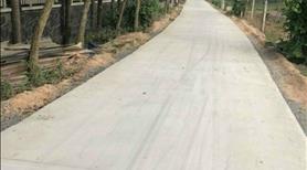 Đất Phú Hữu 66m² full thổ (5x13m), đường xe hơi, 1 xẹc Lý Thái Tổ, giá chỉ 1,55 tỷ - Ảnh 5