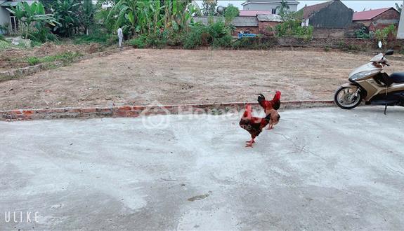 Đất yên tàng bắc phú dt 117 m fun thổ cư giá cực sôc rơi tiền là lãi - Ảnh 1