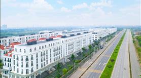 Cho thuê shophouse, biệt thự Avenue Garden, diện tích xây dựng 650 - 900m2  - Ảnh 4