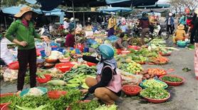 Bán Gấp 1.225m2 ThổCư SHR QL13 Vào Nhà Hiện Hữu Dân Đông Cặp Lưng Trường Chợ Trung Tâm KCN 268tr/Sổ - Ảnh 7