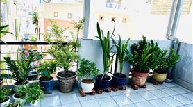 Bán nhà đẹp trên đường Vạn Kiếp, Phường 3, Bình Thạnh. - Ảnh 4
