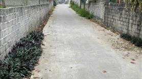 Đất chính chủ Đồng Trung,Thanh ,Thủy,Phú Thọ - Ảnh 2