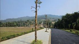 Bán đất đẹp du lịch nghỉ dưỡng đồng vỡ, phú mãn giá rẻ 468m nhỉnh 6 tỷ - Ảnh 3
