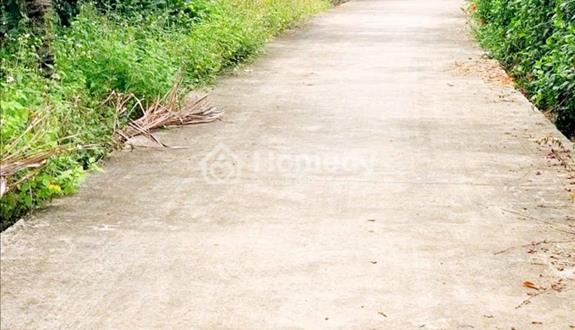 🔥[Bán Gấp] Cận Tết Bán Đất Gia Kiệm Thống Nhất - Đường Bê Tông Rộng Rãi Lý Tưởng - 920tr🔥 - Ảnh 1