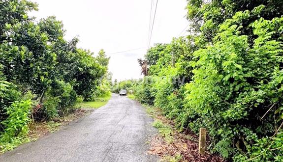 📍Cận Tết Nên Cần Bán Gấp Đất Gia Kiệm Thống Nhất Giá Siêu Hời - 950tr/ trên 1000m² - Ảnh 1