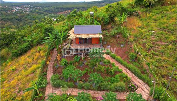  🔥[Bán Gấp] Đất Vườn View Hồ Trị An – Đường Bê Tông Rộng - 850 triệu ~ 1.2 tỷ - Ảnh 1
