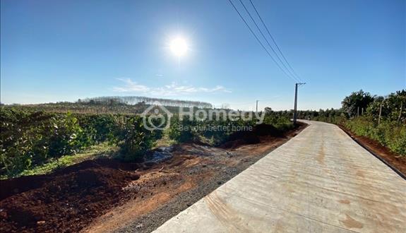 Bán 2.65ha đất nông nghiệp bám 90m mt đường bê tông. Sổ hồng riêng, đường xe hơi. - Ảnh 1