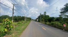 Bán 1100m2 mt đường Nam lộ 101 La Ngà. Sổ rieng, đường nhựa. - Ảnh 3