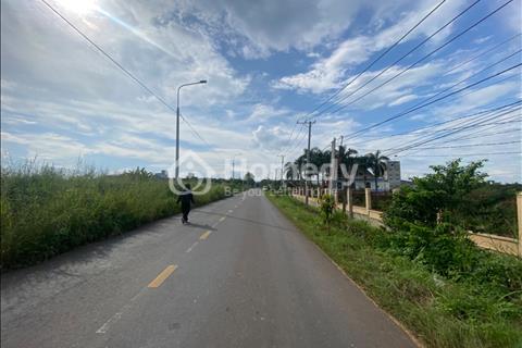 Bán 1100m2 mt đường Nam lộ 101 La Ngà. Sổ rieng, đường nhựa.