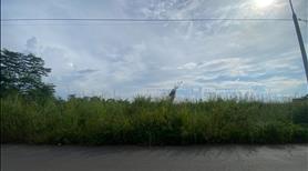 Bán 1100m2 mt đường Nam lộ 101 La Ngà. Sổ rieng, đường nhựa. - Ảnh 2