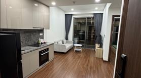 Mình chính chủ cho thuê căn 1PN+ tại toà H3 - Masteri Waterfront - Ảnh 2