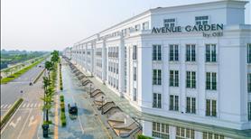 Cần bán shophouse, biệt thự Avenue Garden – Những căn đang cần giao dịch - Ảnh 3