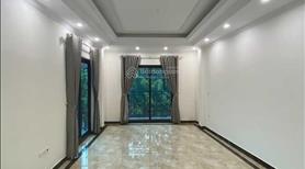 Bán gấp Mặt phố Đa Sỹ, Kiến Hưng, Hà Đông, DT 54m2 x 5 tầng, thang máy kinh doanh giá nhỉnh 14 tỷ - Ảnh 2