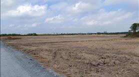 Bán đất Vĩnh Thanh, 1000m², đường ô tô 2/Hùng Vương – Giá 2 tỷ 350 - Ảnh 2