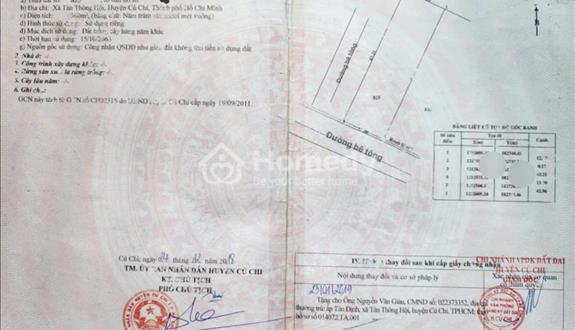  Do qua Mỹ định cư nên giờ cần bán gấp nhà vườn 560m2 Tân Thông Hội, Củ Chi , Sổ Hồng đầy đủ 2tỷ250 - Ảnh 1