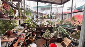 🪖Bán nhà 50m2 bê tông Thịnh Quang, ngõ 3 gác, SH quay đầu, 50m ra ô tô đỗ, thoáng - Ảnh 9