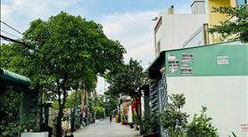 Đất nền An Phú Đông khu dân chư đông đúc sổ hồng riêng - Ảnh 2