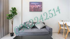 Bán 2phòng ngủ 1wc 57m2 tại 104 chung cư cao cấp the Botanica giá siêu rẻ - Ảnh 12