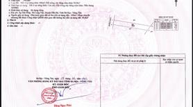 Sở hữu ngay sỉ 14 nền đất cực rẻ sổ hồng sẵn tại Núi Thơm - Long Tân - Long Đất - BRVT. - Ảnh 8