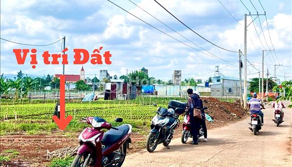 Ra nhanh đất cho anh chị tại Gia Tân 600tr - Đường Ô tô - gần QL 20 - Ảnh 1