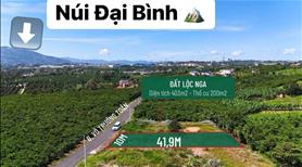 Đất view săn mây núi đại bình - Ảnh 3