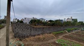 Bán Đất CLN tại Thị trấn Thanh Nê, Kiến Xương, Thái Bình, - Ảnh 2