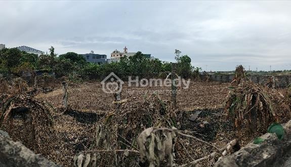 Bán Đất CLN tại Thị trấn Thanh Nê, Kiến Xương, Thái Bình, - Ảnh 1