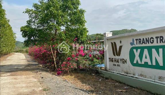 Bán Đất Giá Rẻ Diên Tân, Diên Khánh – QH Full Thổ Cư - Ảnh 1