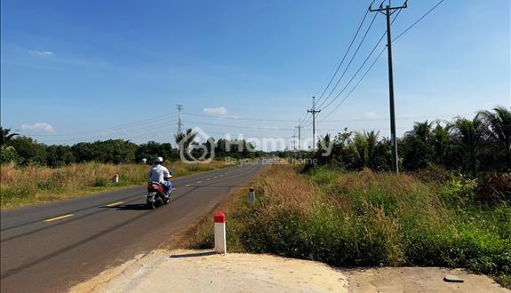 Cơ hội hiếm có ở hữu ngay lô đất đẹp gần thị trấn Dầu Giây sổ hông riêng  - Ảnh 1