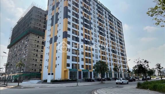 Vị trí thuận lợi , gần 2 KCN lớn tại Hải Phòng - Ảnh 1
