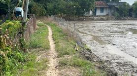 Bán gấp 2.8 sào đất ont tân an - tx lagi giá ngộp view sông dinh - Ảnh 2