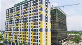 Bán căn hộ trung cư giá rẻ tại Hải Phòng . Vị trí thuận lợi , gần 2 KCN lớn tại Hải Phòng.  - Ảnh 9