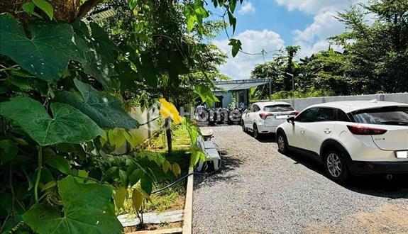 Nhà vườn 223m2, MT đường nhựa, SHR, Xã Tân Thông Hội, Giá 1 tỷ 150. - Ảnh 1