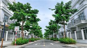 Eurowindow Twins Park nằm ngay tại trung tâm hành chính Gia Lâm - Ảnh 3